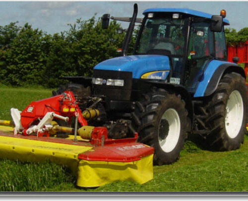 Frøblanding Nr. 33, 10 kg