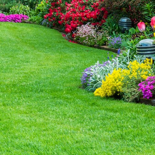 Luksus Turf – Robot & fin plæne